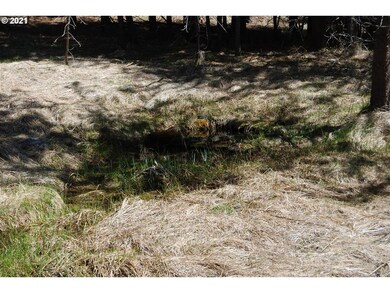 0 Barrett St unit 20022010, Granite, OR 97877 - photo 3