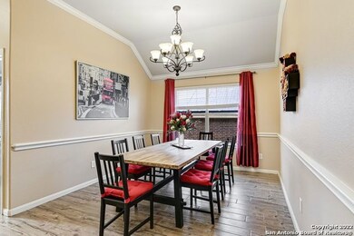3607 Globe Willow, San Antonio, TX 78261 - photo 3