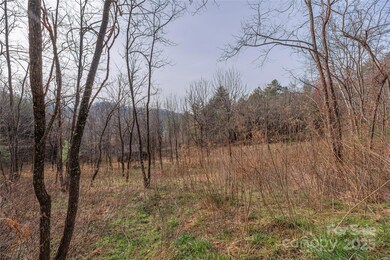 0 Hooper Cemetery Rd unit 31, Cullowhee, NC 28723 - photo 6