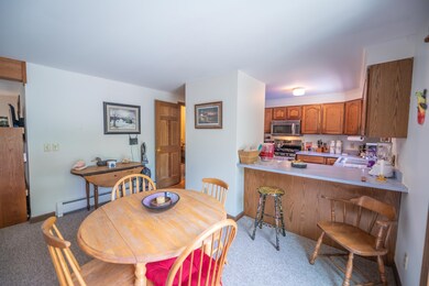 12 Beech Tree Ln, Dover, VT 05341 - photo 6