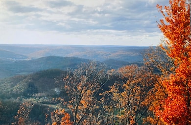 Gorgeous Views