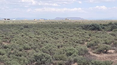 20190514_154616