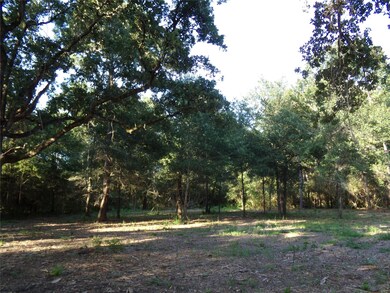 30954 Hegar Rd, Hockley, TX 77447 - photo 7