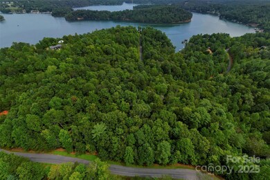 377 Harborside Dr unit 245, Nebo, NC 28761 - photo 6