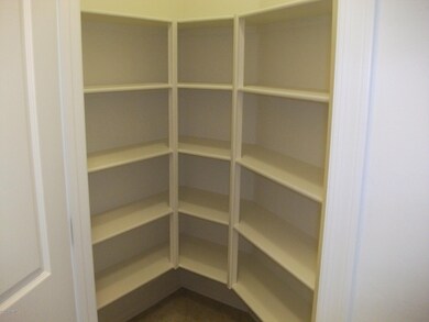 Amazing walk-in Pantry!