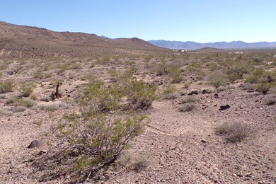 N White Dr, Dolan Springs, AZ 86441 - photo 5