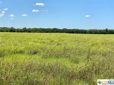 TBD Fm 935 Tract 5, Troy, TX 76579 - photo 3