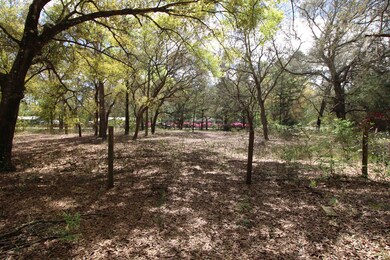 5360 County Road 208, Saint Augustine, FL 32092 - photo 6