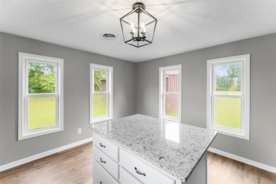 245 Old Kyrock Rd, Sweeden, KY 42285 - photo 5