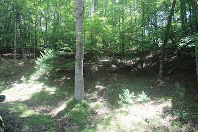 Lt 2628 Garnet Dr, Ellijay, GA 30540 - photo 3