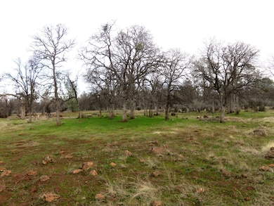 41 acres Ash Creek Rd, Anderson, CA 96007 - photo 6