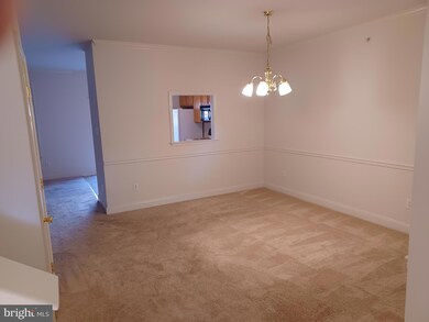 202 Barefield Ln, Conshohocken, PA 19428 - photo 6