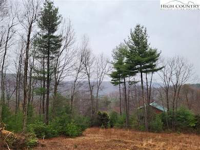 TBD Parkway Pointe Dr, West Jefferson, NC 28694 - photo 3