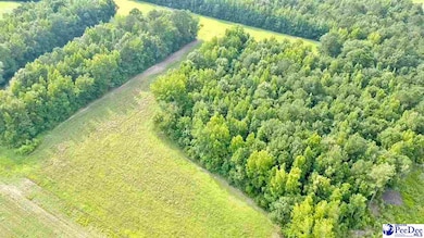 1914 N Old Georgetown Rd, Scranton, SC 29591 - photo 4