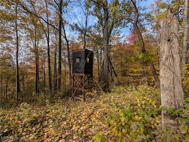 44603 Roy Bower Rd, Sardis, OH 43946 - photo 4