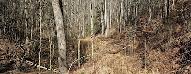 TBD Garrett Creek Rd, Abingdon, VA 24210 - photo 2