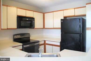 11741 Summerchase Cir unit 1741-E, Reston, VA 20194 - photo 7