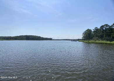 06 Waterview community area