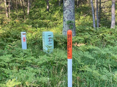 0 N Woodbridge Dr unit 22048039, Bitely, MI 49309 - photo 3