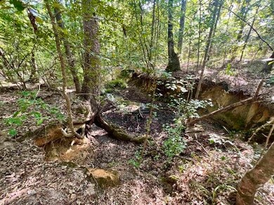Additional View