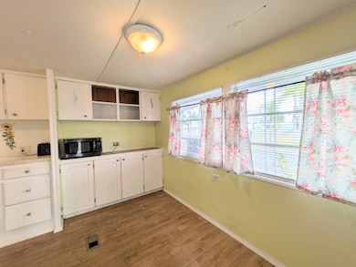 5219 Peninsula St, Zephyrhills, FL 33541 - photo 4