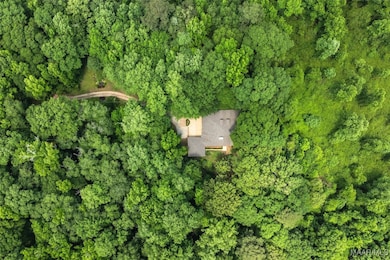 OVERHEAD FROM DRONE