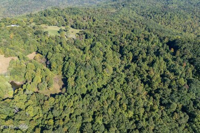 8111 White Oak Flatt Rd, Sparta, TN 38583 - photo 6