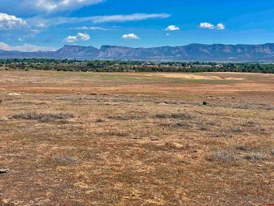 Tract 5 Road K 3, Cortez, CO 81321 - photo 5