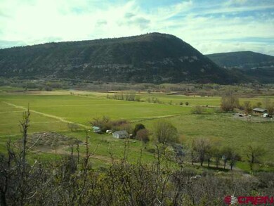 0 Elkridge Ln unit 654954, Durango, CO 81301 - photo 3