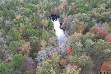 TBD Stag Rd, Gilmer, TX 75644 - photo 7