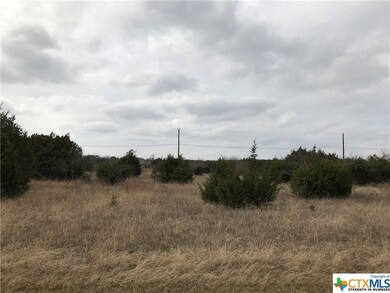 39249 Timberline Dr, Whitney, TX 76692 - photo 7