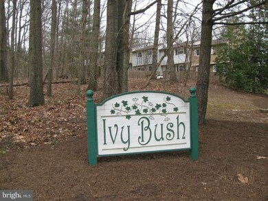 11515 Ivy Bush Ct, Reston, VA 20191 - photo 2