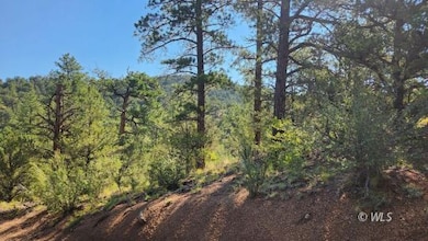 Mature trees