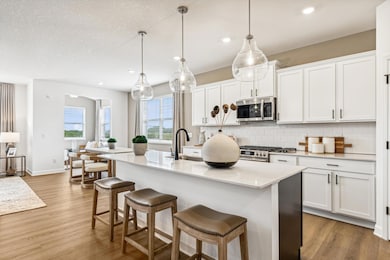 20144 68th Ave N, Maple Grove, MN 55311 - photo 4