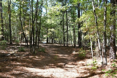 1350 Grover Wilson Rd, Blythewood, SC 29016 - photo 4