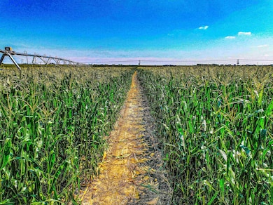 TBD Cherry Rd, Kearney, NE 68847 - photo 3