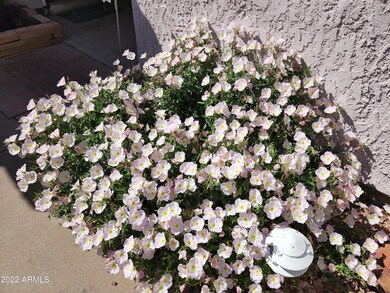 2124 N College Ct, Chandler, AZ 85224 - photo 2