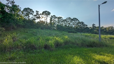 492 Reba Dr, Lake Placid, FL 33852 - photo 2