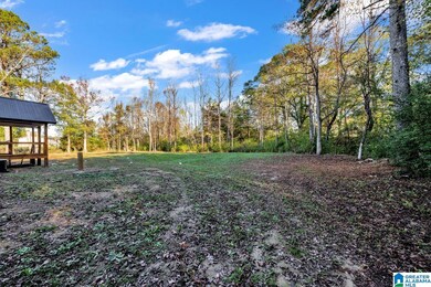 3465 County Highway 13, Locust Fork, AL 35097 - photo 2