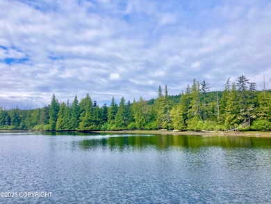 L4 Wadleigh Island N, Klawock, AK 99925 - photo 2