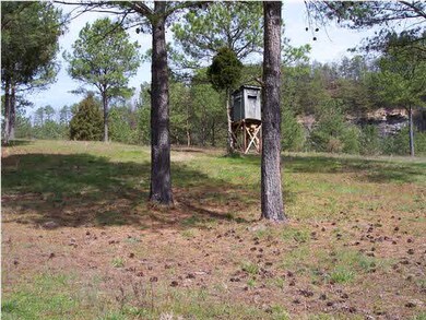 Deer stand on reclaimed land