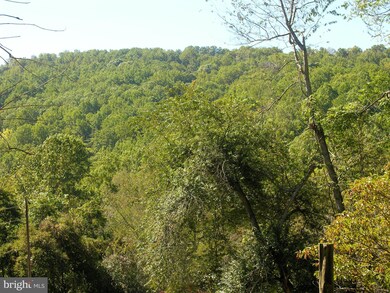 0 Gid Brown Hollow Rd unit VARP2000702, Washington, VA 22747 - photo 6