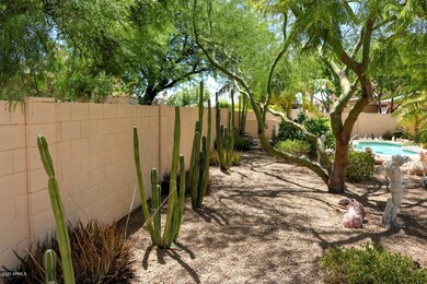 Back yard