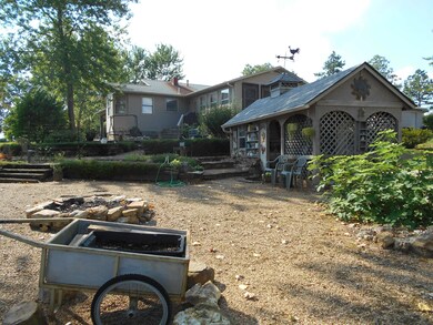Home for Sale Birch Tree, MO (3)
