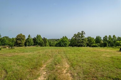 0 Cr 345 unit 25007450, Winona, TX 75792 - photo 4