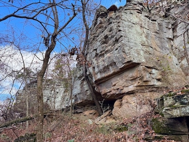 0 Cr 961 Rd unit 25667345, Green Forest, AR 72638 - photo 3