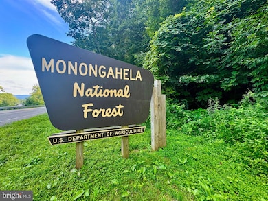 0 W Virginia 72, Parsons, WV 26287 - photo 3