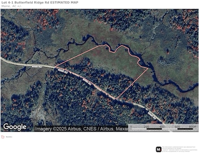 Lot 4-1 Butterfield Ridge Rd, Woodville, ME 04457 - photo 3
