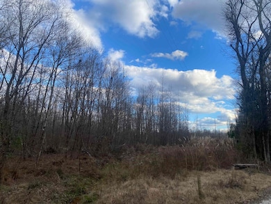 7 Hughey Talley Rd, Selmer, TN 38375 - photo 6