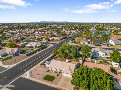 Beautiful Neighborhood